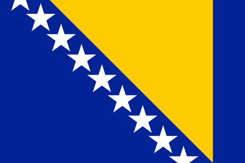 Bosnia and Herzegovina logo