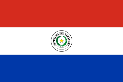 Paraguay logo