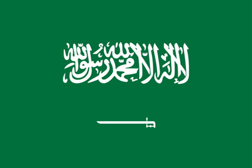Saudi Arabia logo